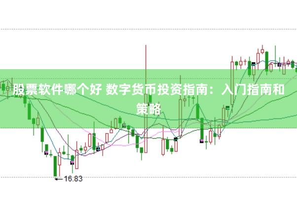 股票软件哪个好 数字货币投资指南：入门指南和策略