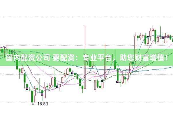 国内配资公司 要配资：专业平台，助您财富增值！