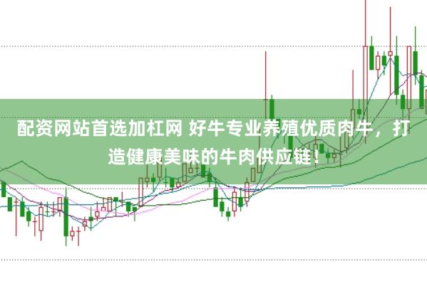 配资网站首选加杠网 好牛专业养殖优质肉牛，打造健康美味的牛肉供应链！