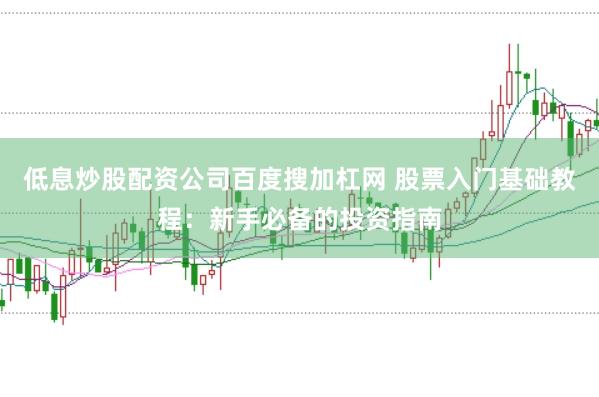 低息炒股配资公司百度搜加杠网 股票入门基础教程：新手必备的投资指南