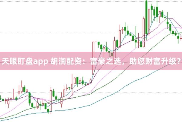 天眼盯盘app 胡润配资：富豪之选，助您财富升级？