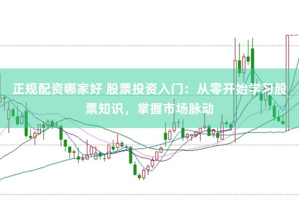 正规配资哪家好 股票投资入门：从零开始学习股票知识，掌握市场脉动