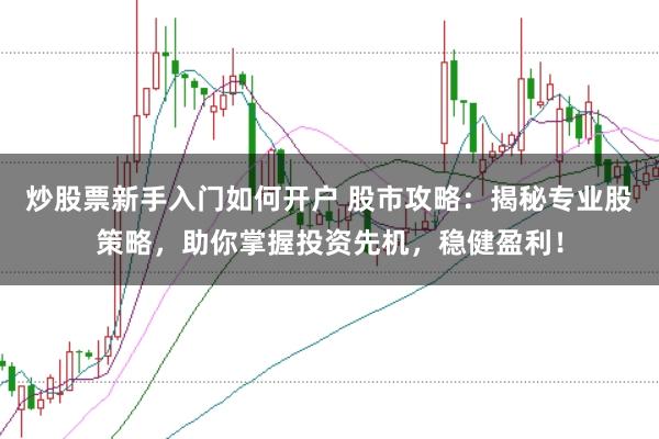 炒股票新手入门如何开户 股市攻略：揭秘专业股策略，助你掌握投资先机，稳健盈利！