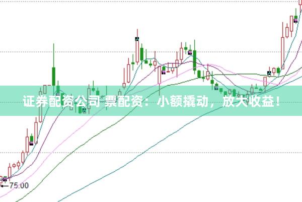 证券配资公司 票配资：小额撬动，放大收益！