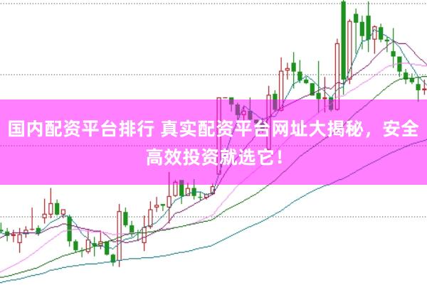 国内配资平台排行 真实配资平台网址大揭秘，安全高效投资就选它！