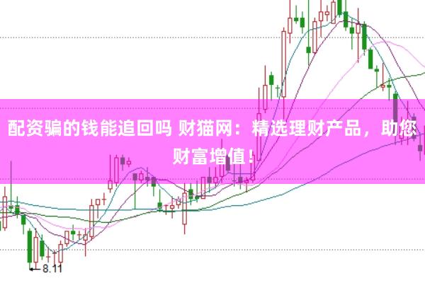 配资骗的钱能追回吗 财猫网：精选理财产品，助您财富增值！