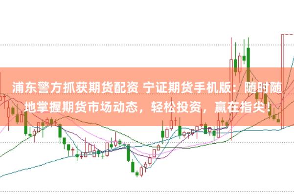 浦东警方抓获期货配资 宁证期货手机版：随时随地掌握期货市场动态，轻松投资，赢在指尖！