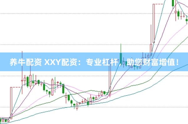 养牛配资 XXY配资：专业杠杆，助您财富增值！