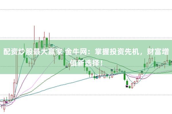 配资炒股最大赢家 金牛网：掌握投资先机，财富增值新选择！