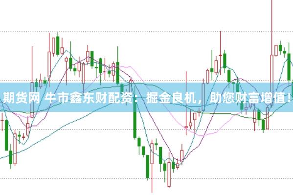 期货网 牛市鑫东财配资：掘金良机，助您财富增值！