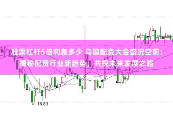 股票杠杆5倍利息多少 乌镇配资大会盛况空前：揭秘配资行业新趋势，共探未来发展之路