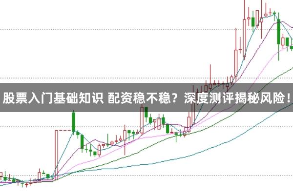 股票入门基础知识 配资稳不稳？深度测评揭秘风险！