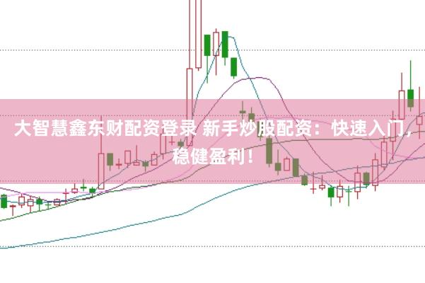 大智慧鑫东财配资登录 新手炒股配资：快速入门，稳健盈利！