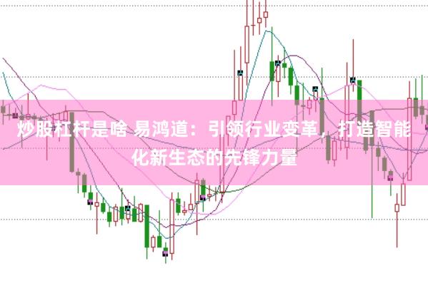 炒股杠杆是啥 易鸿道：引领行业变革，打造智能化新生态的先锋力量