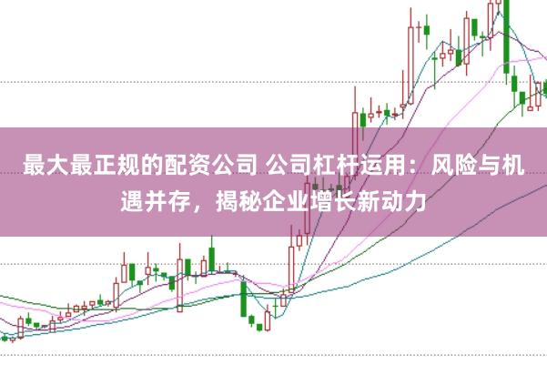 最大最正规的配资公司 公司杠杆运用：风险与机遇并存，揭秘企业增长新动力