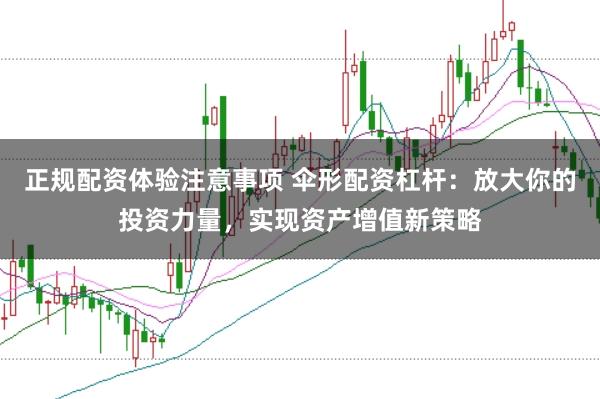 正规配资体验注意事项 伞形配资杠杆：放大你的投资力量，实现资产增值新策略