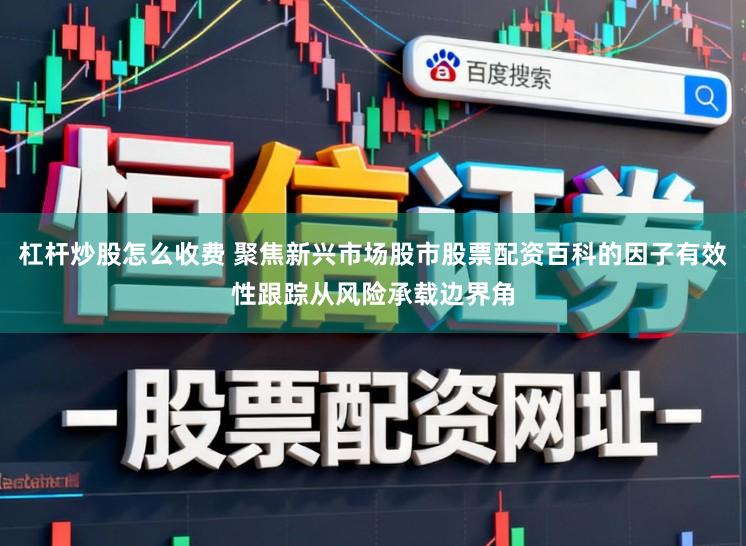 杠杆炒股怎么收费 聚焦新兴市场股市股票配资百科的因子有效性跟踪从风险承载边界角