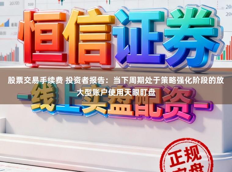 股票交易手续费 投资者报告：当下周期处于策略强化阶段的放大型账户使用天眼盯盘